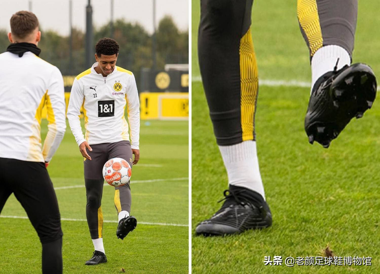 职业足球领 职业足球领