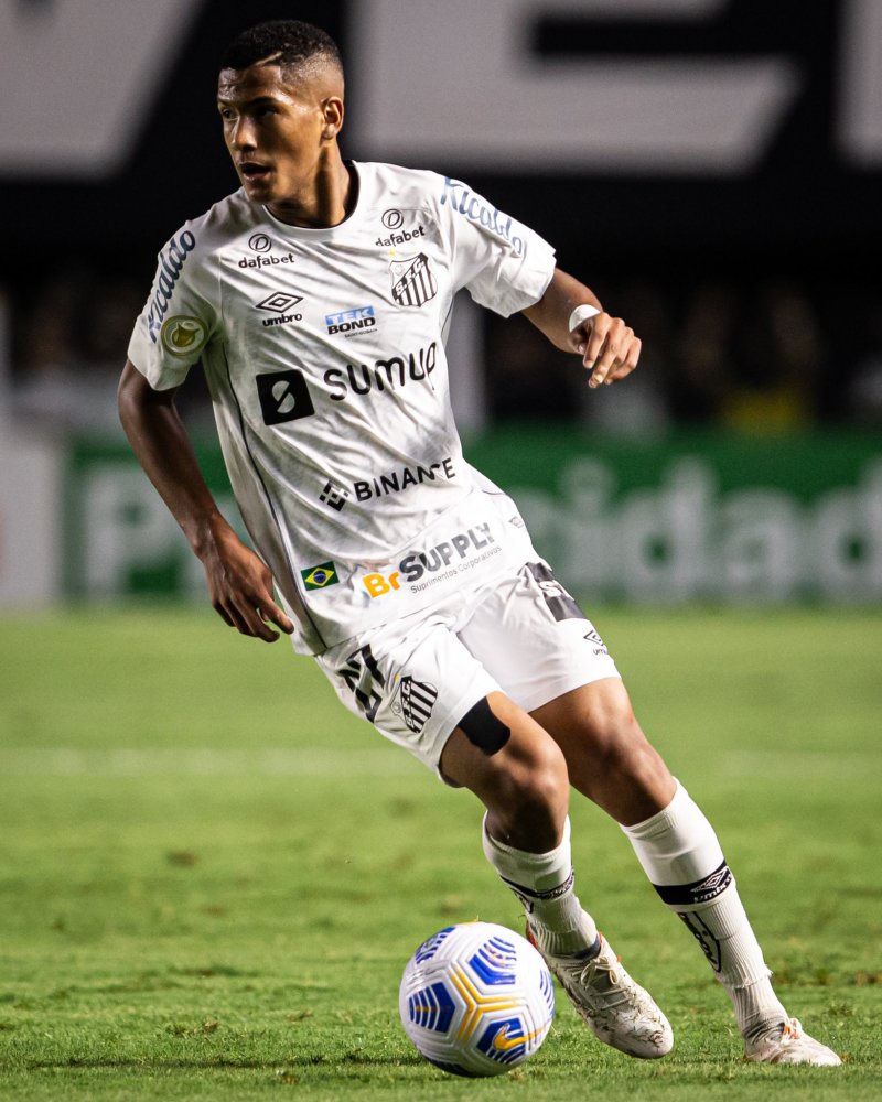 的技术路线 的技术路线